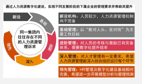 大型集团化国有企业人力资源数字化建设的解决之道