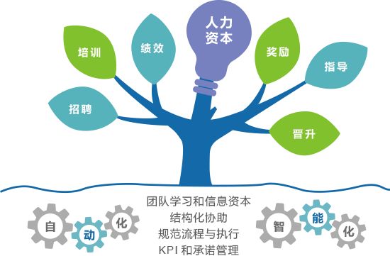 人力资源管理师国家职业资格证书培训 提升专业能力，开启职场新篇章