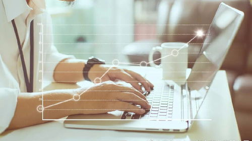 上海人力资源服务许可证办理指南 费用、材料与流程详解