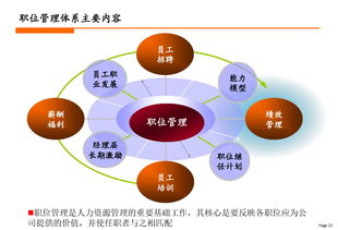 人力资源角色管理体系建设.ppt