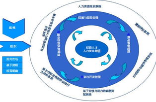 人力资源管理专业需要学数学吗