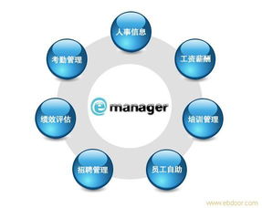 上海闵行区人事外包网 松江区劳务外包 长宁区劳务派遣网 上海闵行区人事外包网 松江区劳务外包 长宁区劳务派遣网 高清大图 上海闵行区人事外包网 松江区劳务外包 长宁区劳务派遣网 高清图片
