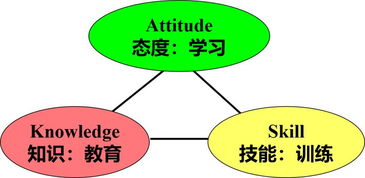 中建东孚上海公司后备人才系列课程之 非人力资源经理的人力资源管理